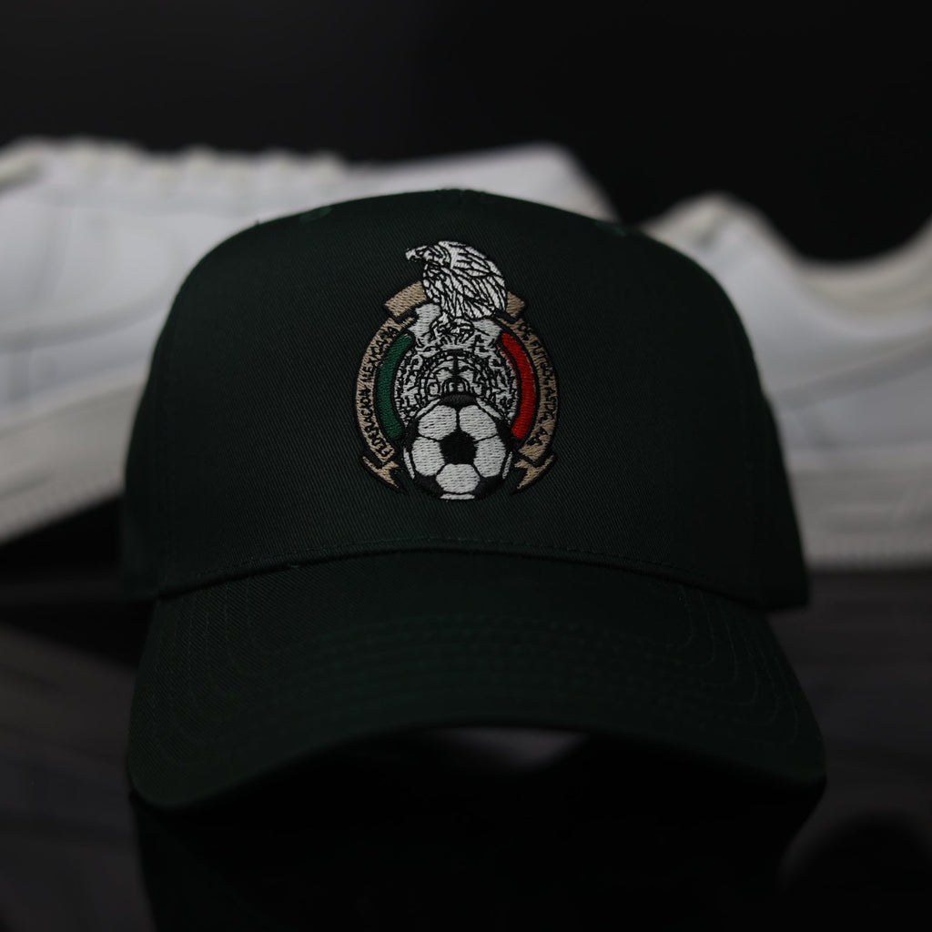 MEXICO FED. FOREST GRN. (5 PANEL)